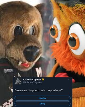 Image post by @hockeyfights on Instagram