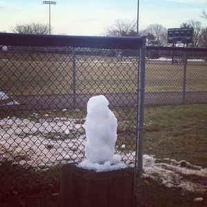 Image post by @yalesoftball on Instagram