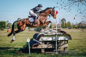 Image post by @NZHorseAmbulanceTrust on Facebook