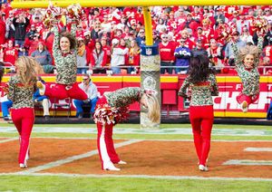 Image post by @chiefscheer on Instagram