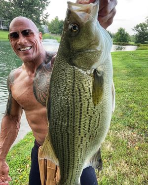 Image post by @therock on Instagram