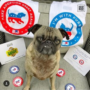 Image post by @animalplanet on Instagram