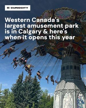 Image post by @curiocitycalgary on Instagram