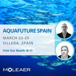 Image post by @moleaer on Instagram