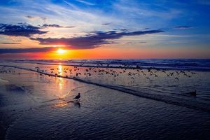 Image post by @kiawahresort on Instagram