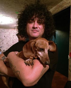 Image post by @thewarfield on Instagram
