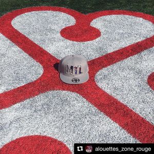 Image post by @mtlalouettes on Instagram