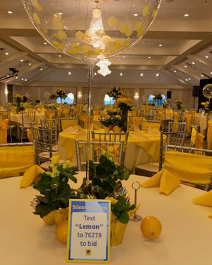 Image post by @alexslemonade on Instagram