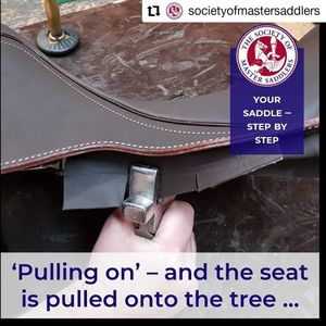 Image post by @performancesaddlefitssthsydney on Instagram