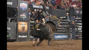 Video post by @pbr on YouTube