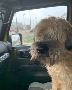 Image post by @bryansuddith on Instagram