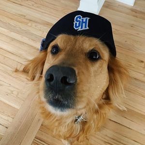 Image post by @setonhall on Instagram