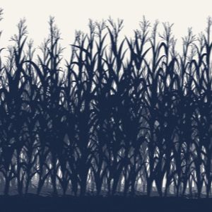 Gif post by @whitesox on Twitter