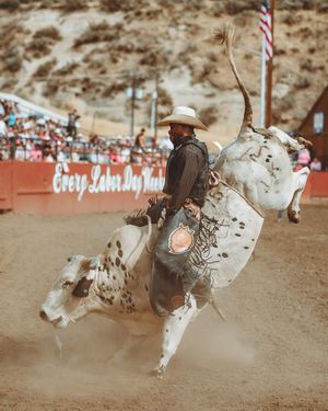 Image post by @ellensburgrodeo on Instagram