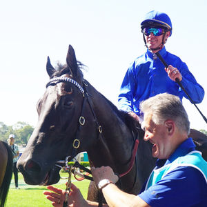 Image post by @australianturfclub on Instagram