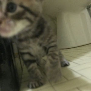 Image post by @brucefloyd on Instagram