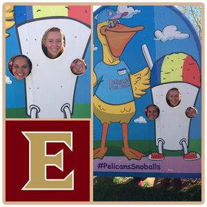 Image post by @elonvb on Instagram