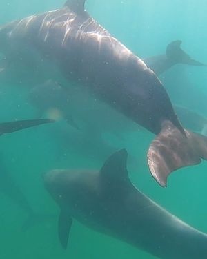 Image post by @wsloneocean on Instagram