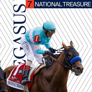 Image post by @pegasusworldcup on Instagram