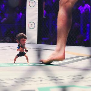 Image post by @pflmma on Instagram