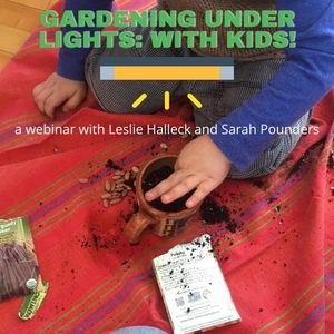 Image post by @kidsgardening on Instagram