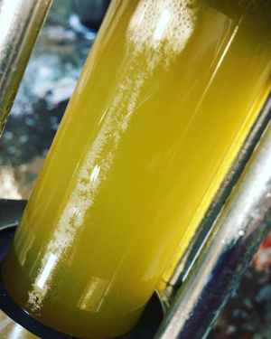 Image post by @navigationbrewingco on Instagram