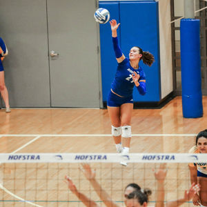Image post by @hofstravb on Instagram