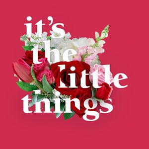 Image post by @shopbachmans on Instagram