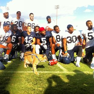Image post by @azathletics on Instagram
