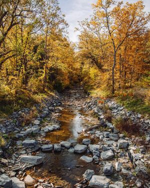 Image post by @ninamarie_creative on Instagram