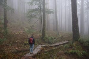 Image post by @tourismabbotsford on Instagram