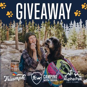 Image post by @triumphpetfood on Instagram