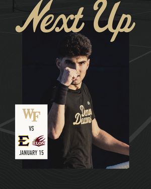 Image post by @WakeMTennis on Twitter