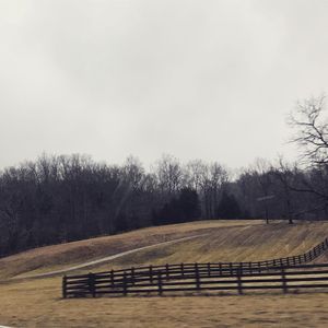 Image post by @jcandsarah on Instagram