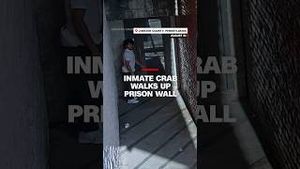 Video post by @cnn on YouTube