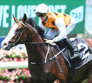Image post by @australianturfclub on Instagram