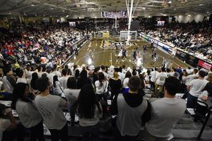 Image post by @golden_grizzlies on Instagram