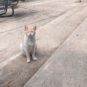 Image post by @utsa on Instagram