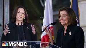 Video post by @msnbc on YouTube