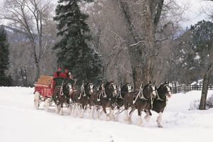 Image post by @BudweiserClydesdale on Facebook
