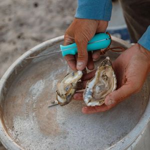 Image post by @toadfishoutfitters on Instagram