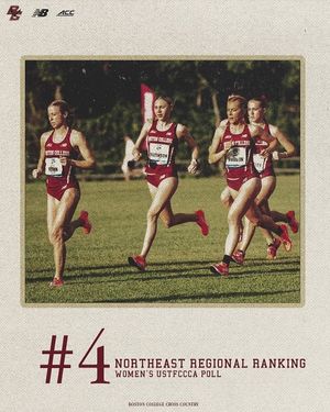 Image post by @bcxc_tf on Instagram