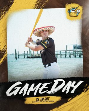 Image post by @mhcmarlins on Instagram