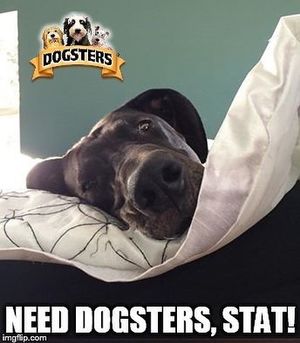 Image post by @dogstersicecream on Instagram