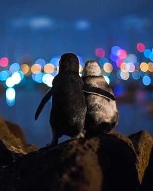 Image post by @fubiz on Instagram