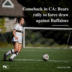 Image post by @dailycalsports on Instagram
