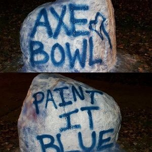Image post by @nutimberwolves on Instagram