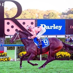 Image post by @australianturfclub on Instagram