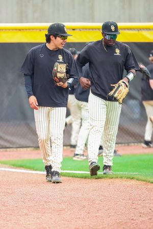 Image post by @GoPetrelsBSB on Twitter