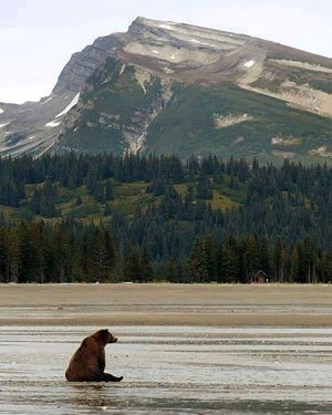 Image post by @nationalparkservice on Instagram